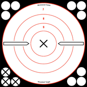 B-c Target Shoot-n-c 8" White- - Black X-bull's-eye 6 Targets