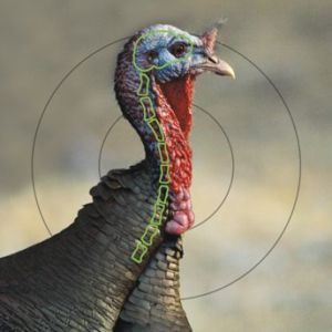 B-c Target Pregame 12"x18" - Turkey 8 Targets