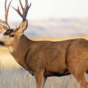 B-c Target Eze-scorer 23"x35" - Mule Deer 2 Targets