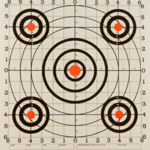 Champion Scorekeeper 100 Yd - Sight In Orange-black 12-pack