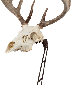 Allen Ez Mount Centerpiece - Skull Stand Brown
