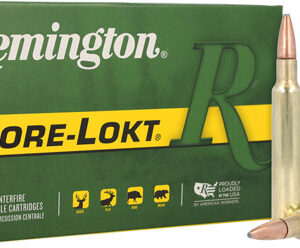 Remington 300 Wby Magnum 180gr - Core-lokt Psp 20rd 10bx-cs
