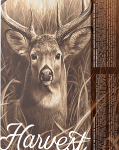 Barnes Harvest 270 Win 140gr - Tipped Gameking 20rd 10bx-cs