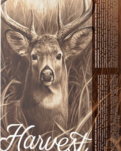 Barnes Harvest 7mm Rem Mag - 150gr Tipped Gameking 20rd