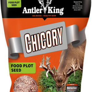 Antler King Chicory 1# Bag - Perennial 1-4 Acre