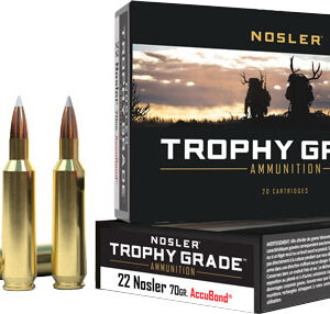 Nosler Trophy Grade 22 Nosler - 70gr Accubond Tip 20rd 10bx-cs