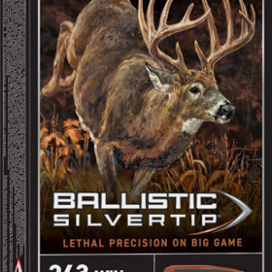 Winchester Supreme 243 Win - 95gr Silver-tip 20rd 10bx-cs