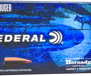 Federal 204 Ruger 32gr V-max - 20rd 10bx-cs