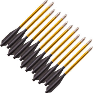Bear-x Desire Crossbow Bolts - 12pk
