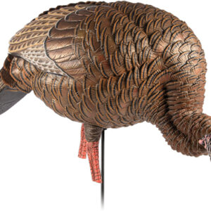 Avian X Hdr Feeding Hen Decoy -