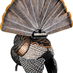 Avian X Hdr Strutter Decoy -