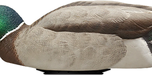 Avian X Power Shaker Mallard - Drake Surface Feeder Decoy