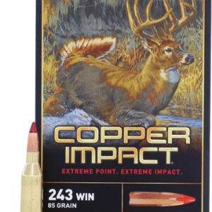 Winchester Copper Impact 243 - Win 85gr 20rd 10bx-cs