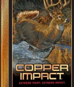 Winchester Copper Impact 6.5 - Prc 125gr 20rd 10bx-cs
