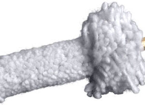 Breakthrough Ar-10 Chamber Mop -