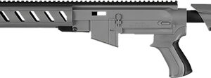 Adv Tech Ruger Ar22 Stock - System W- 6 Sided Forend Gray