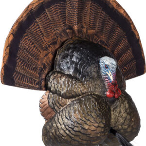 Flextone Thunder Creeper - Strutter Decoy W- Folding Fan