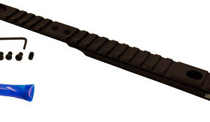 Xs Lever Rail Henry .45-70 -
