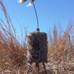 Mojo Super Critter W-critter - Topper & Speaker