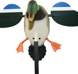 Mojo Baby Mojo Drake Decoy -