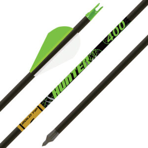 Gold Tip Arrow Hunter Xt 340 - 2" Raptor Vanes 1-2doz