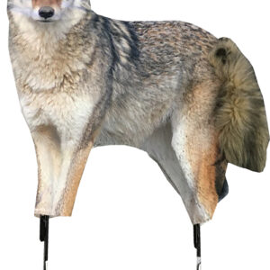 Montana Decoy Coyote Song Dog -