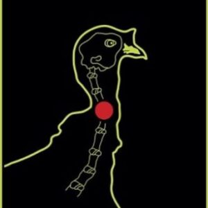 Splatter Shot Target 12"x18" - Turkey 8pk