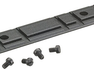 Ruger Scope Base 10-22 - Blue