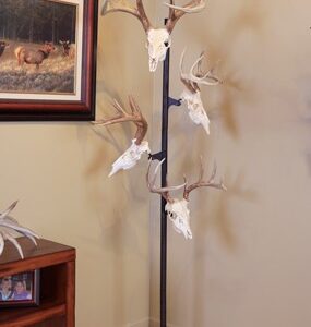 Skull Hooker Trophy Tree W- 5 - Brackets Customizable Display