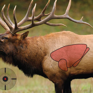 B-c Target Pregame 16.5"x24" - Elk Target 3-targets